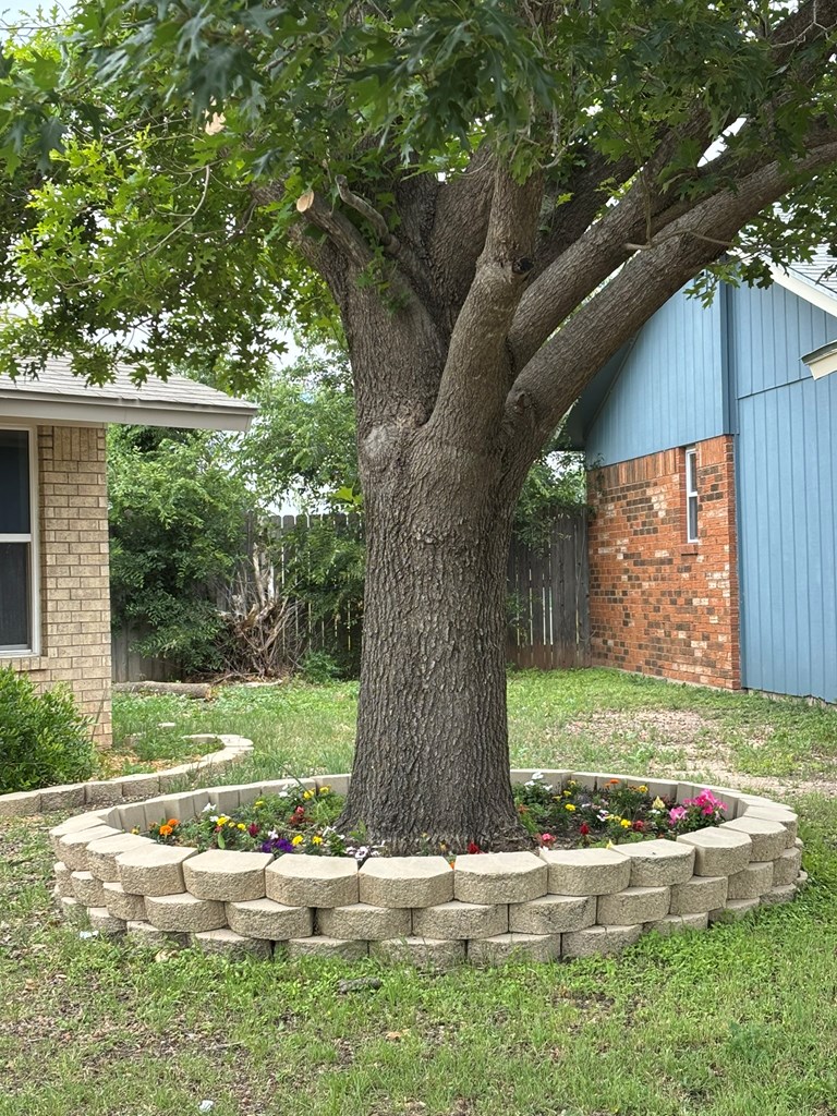 1014 Alpha Circle Property Photo 4
