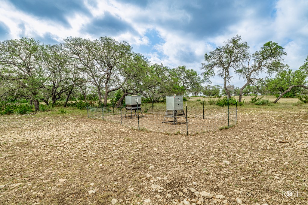 1393 Kc 2611 Property Photo 34