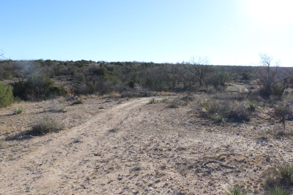 12834 Shin Oak Rd Property Photo 6
