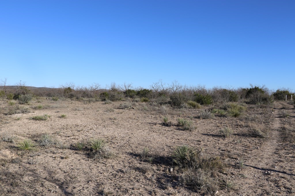 12834 Shin Oak Rd Property Photo 11
