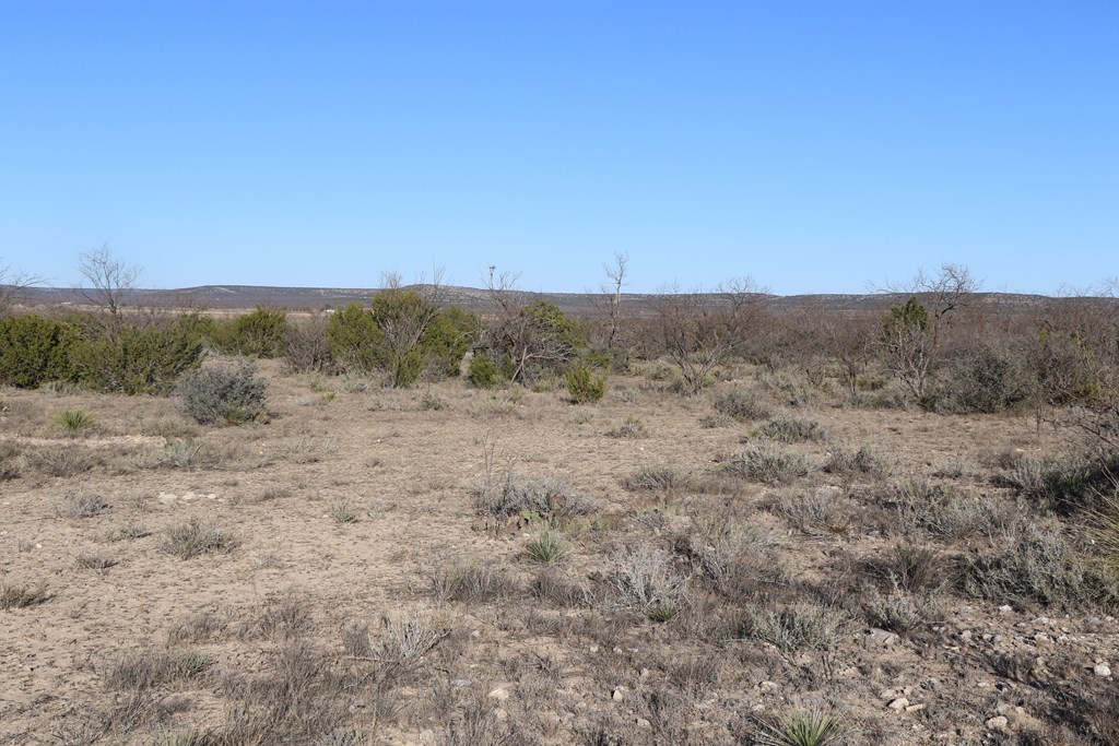 12834 Shin Oak Rd Property Photo 12