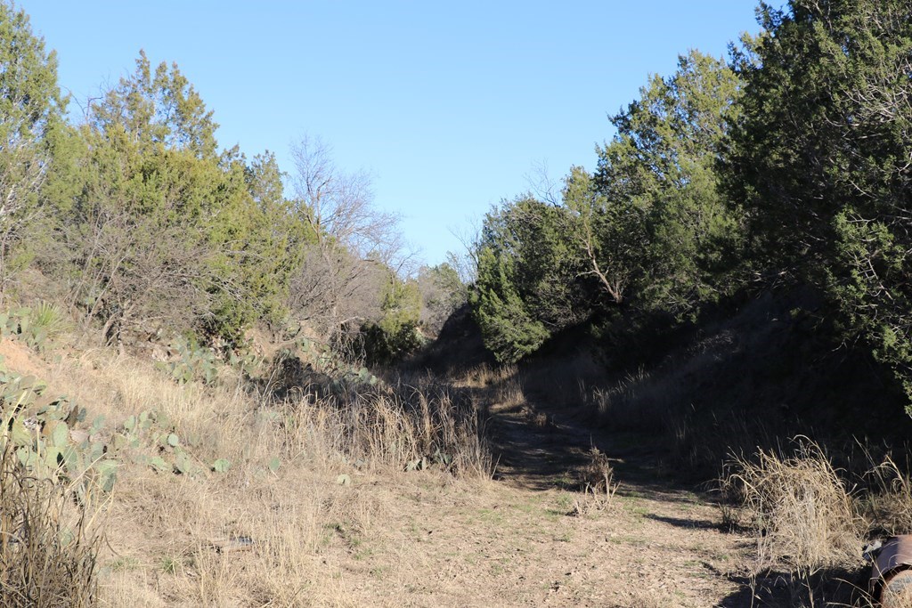 12834 Shin Oak Rd Property Photo 13