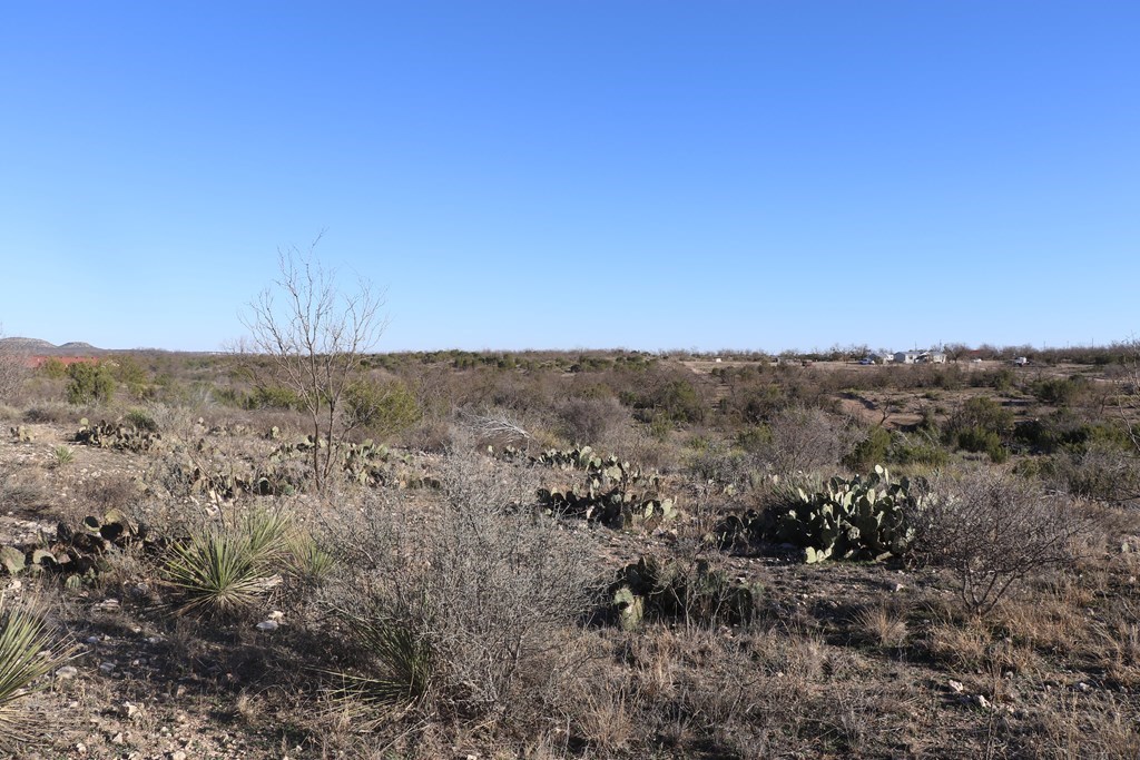 12834 Shin Oak Rd Property Photo 15