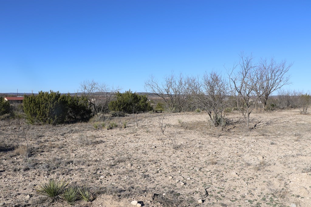 12834 Shin Oak Rd Property Photo 17