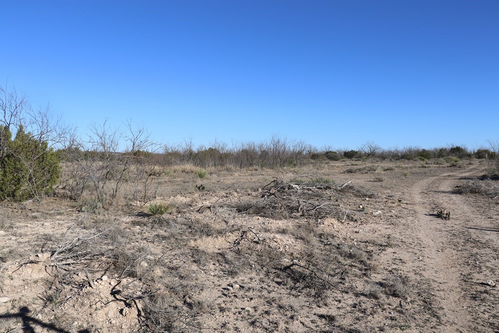 12834 Shin Oak Rd Property Photo 19