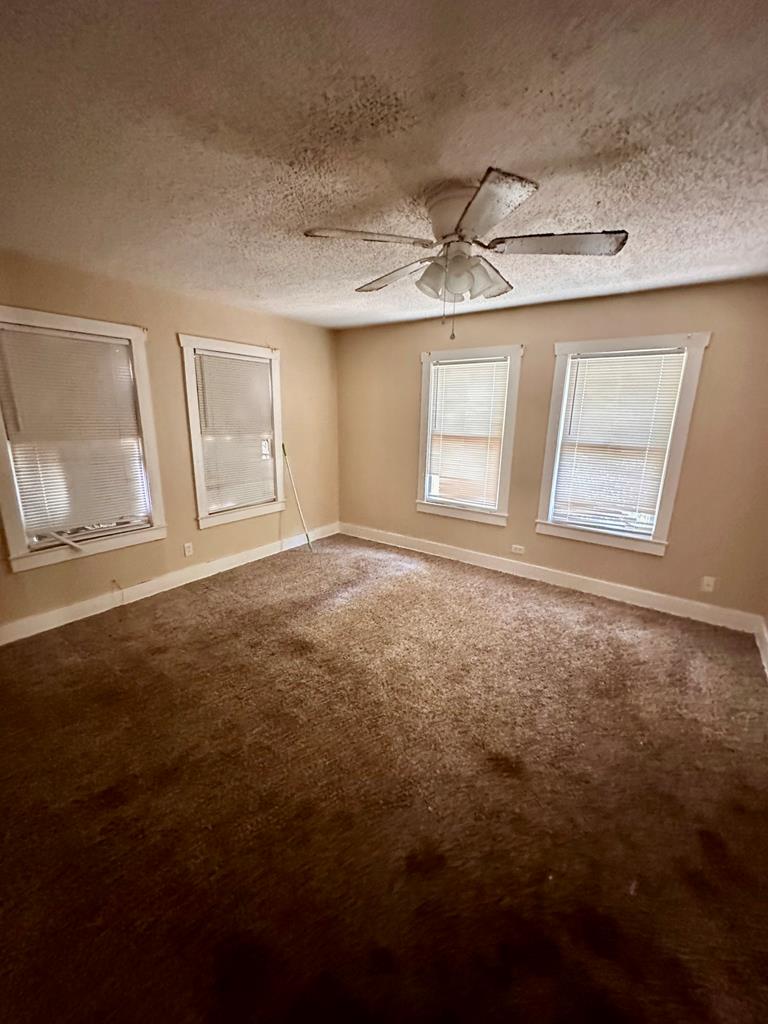 4307 Bowie St Property Photo 17