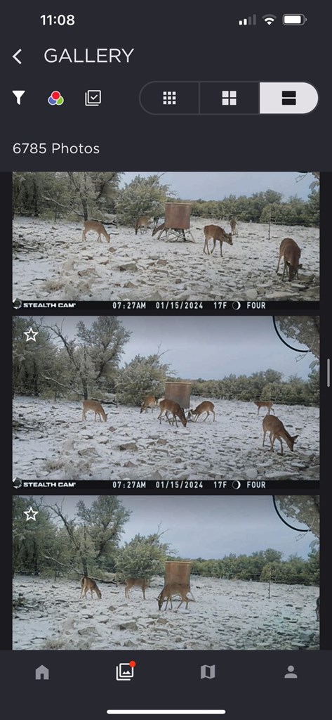 1019 Whitetail Trl 11 Property Photo 4