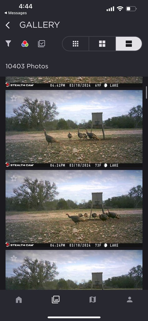 1019 Whitetail Trl 11 Property Photo 6