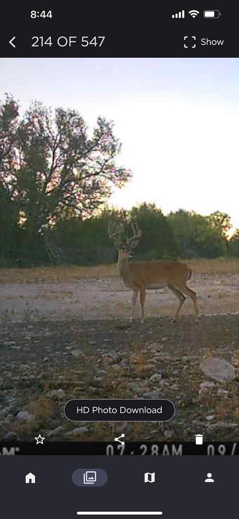 1019 Whitetail Trl 11 Property Photo 9