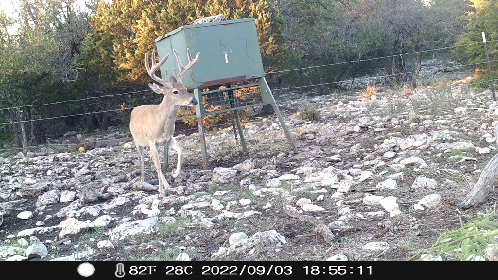 1019 Whitetail Trl 11 Property Photo 17
