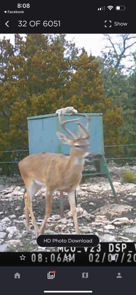 1019 Whitetail Trl 11 Property Photo 19