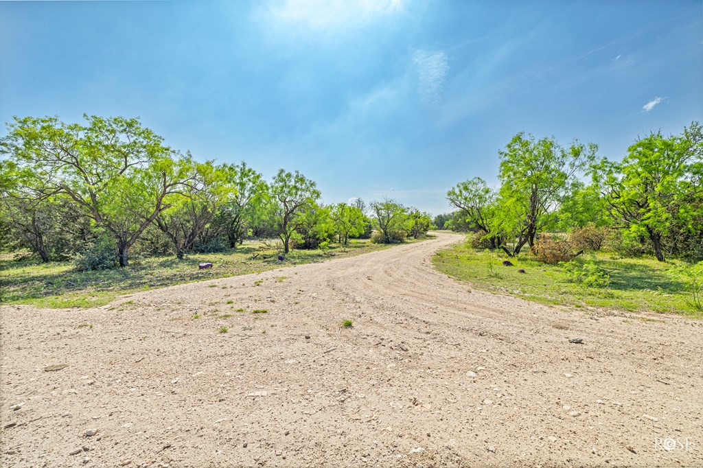 1019 Whitetail Trl 11 Property Photo 53