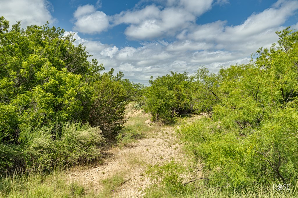 7502 County Rd 410 Ab 1056 Property Photo 68