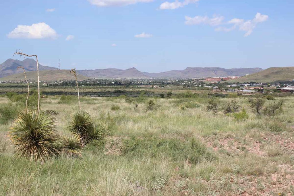 Tract 4 Sierra La Rana Property Photo 6