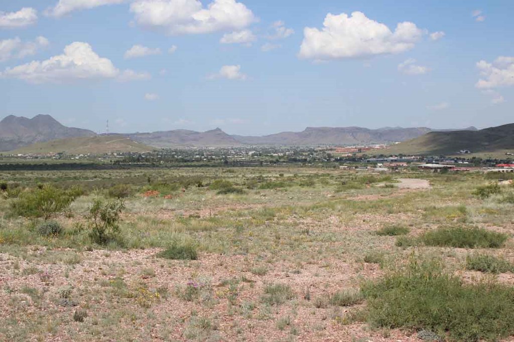 Tract 8 Sierra La Rana Property Photo 6