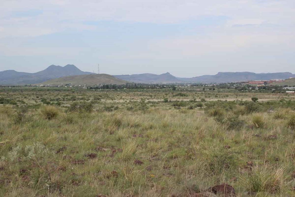 Tract 13 Sierra La Rana Property Photo 6