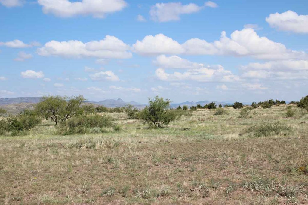Tract 32 Sierra La Rana Property Photo 7