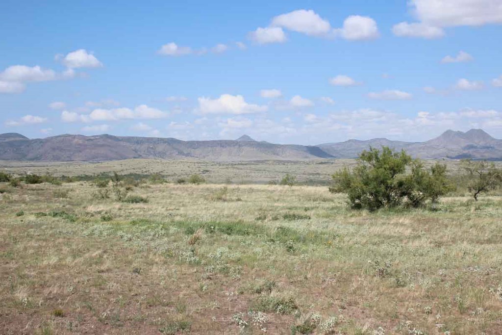 Tract 32 Sierra La Rana Property Photo 8
