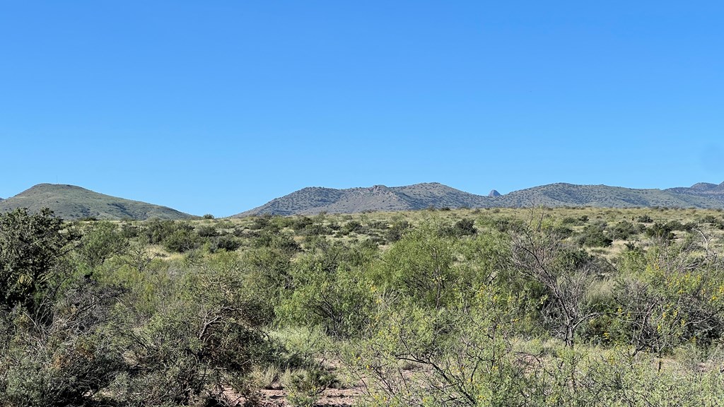 Tract 34 Sierra La Rana Property Photo 6