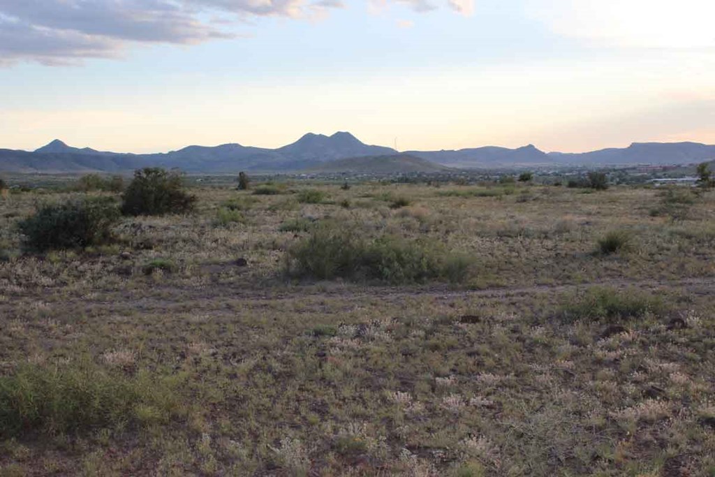 Tract 79 Sierra La Rana Property Photo 6