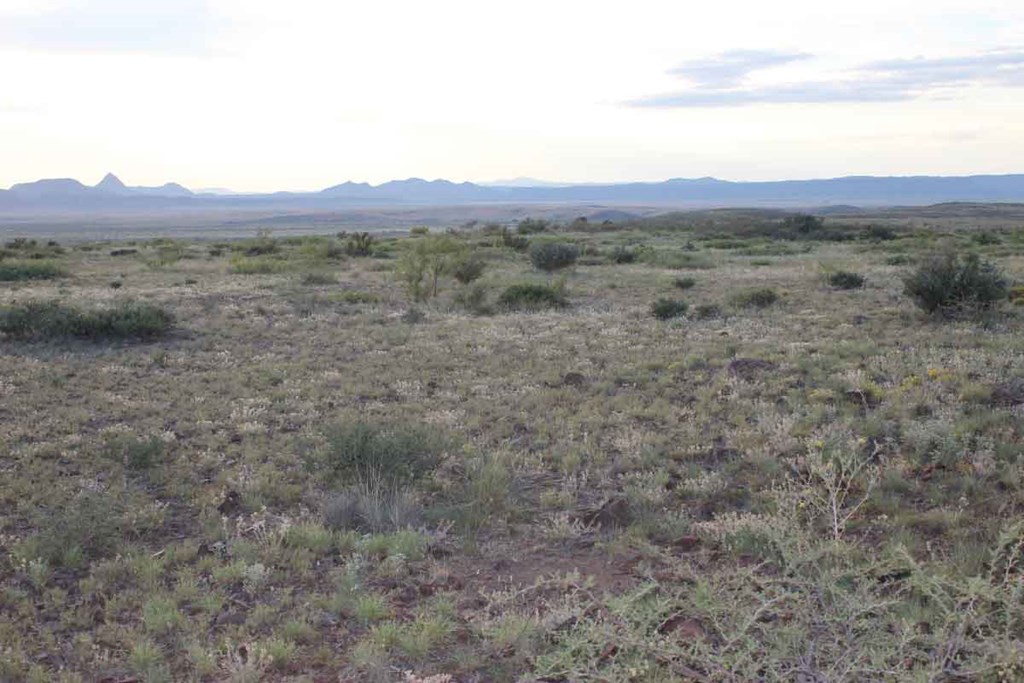 Tract 79 Sierra La Rana Property Photo 7