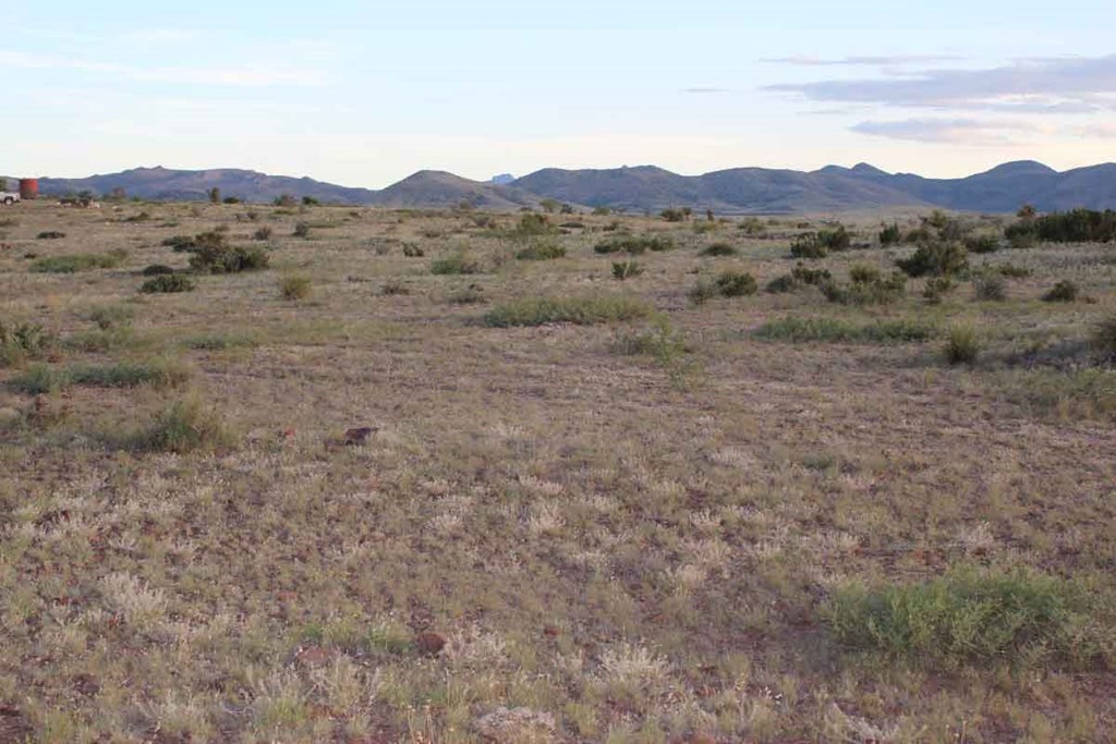 Tract 79 Sierra La Rana Property Photo 8