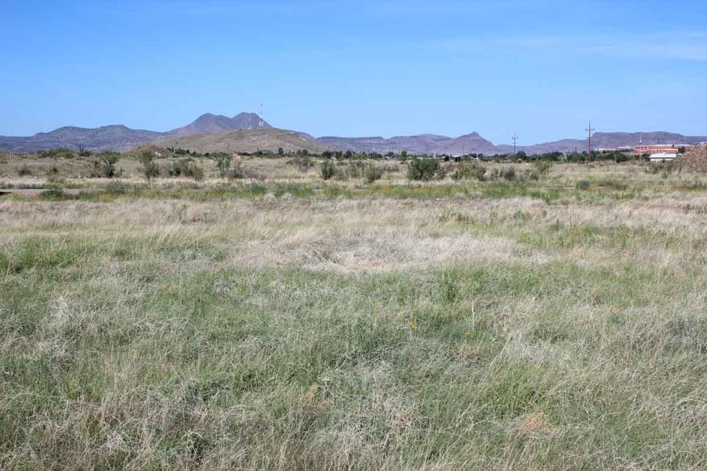 Tract 85 Sierra La Rana Property Photo 6