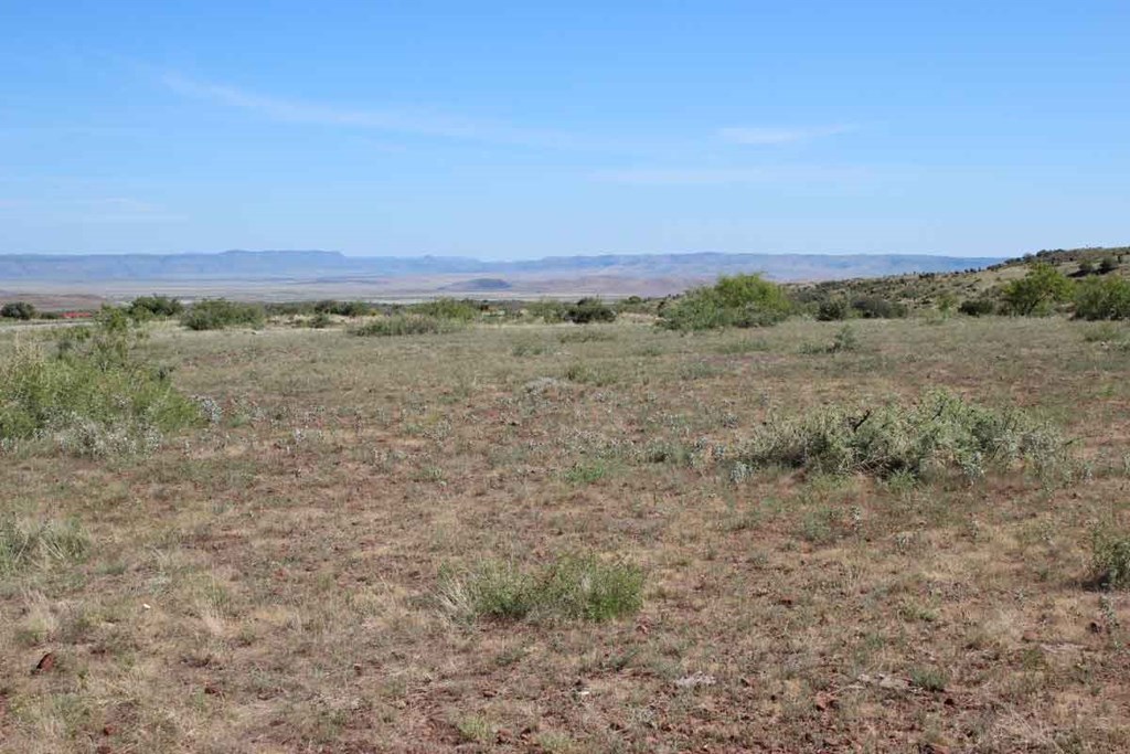 Tract 94 Sierra La Rana Property Photo 7