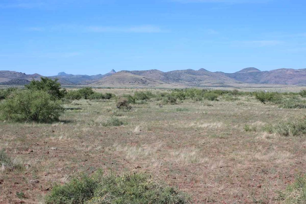 Tract 94 Sierra La Rana Property Photo 8