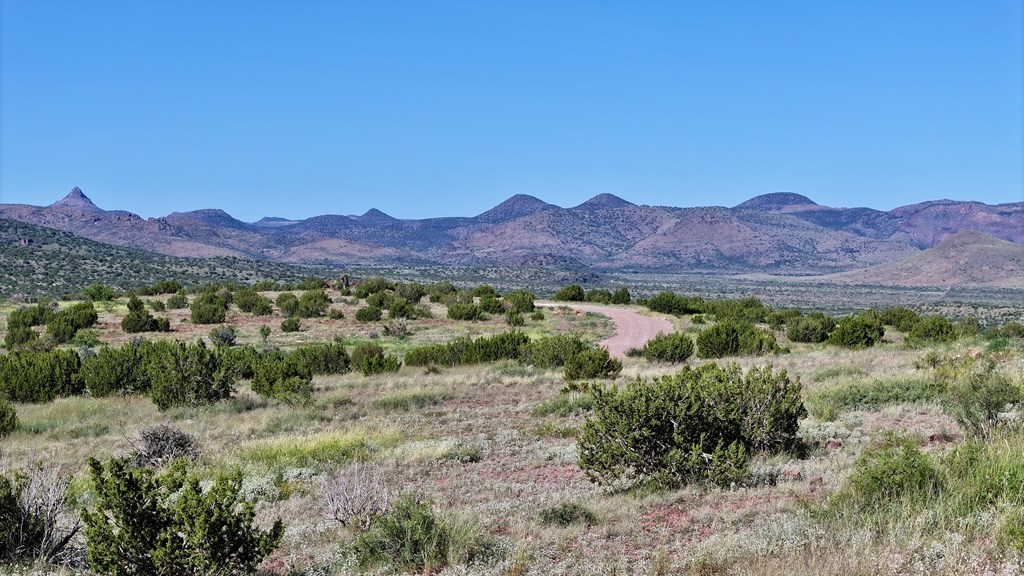 Tr 111 Sierra La Rana Property Photo 2