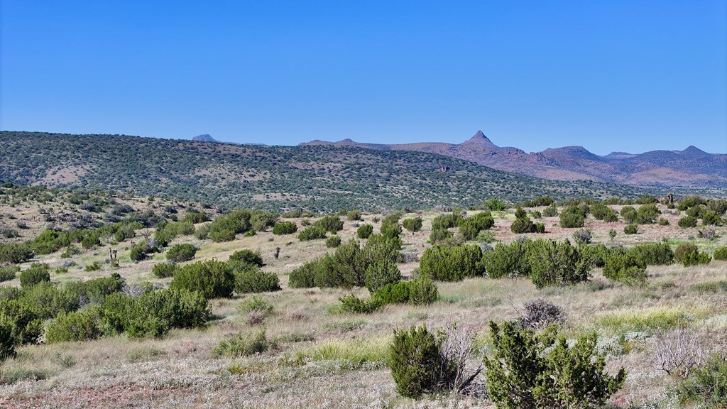 Tr 111 Sierra La Rana Property Photo 3
