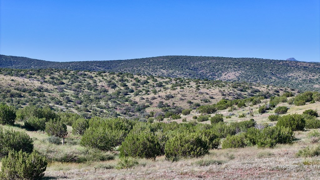 Tr 111 Sierra La Rana Property Photo 4