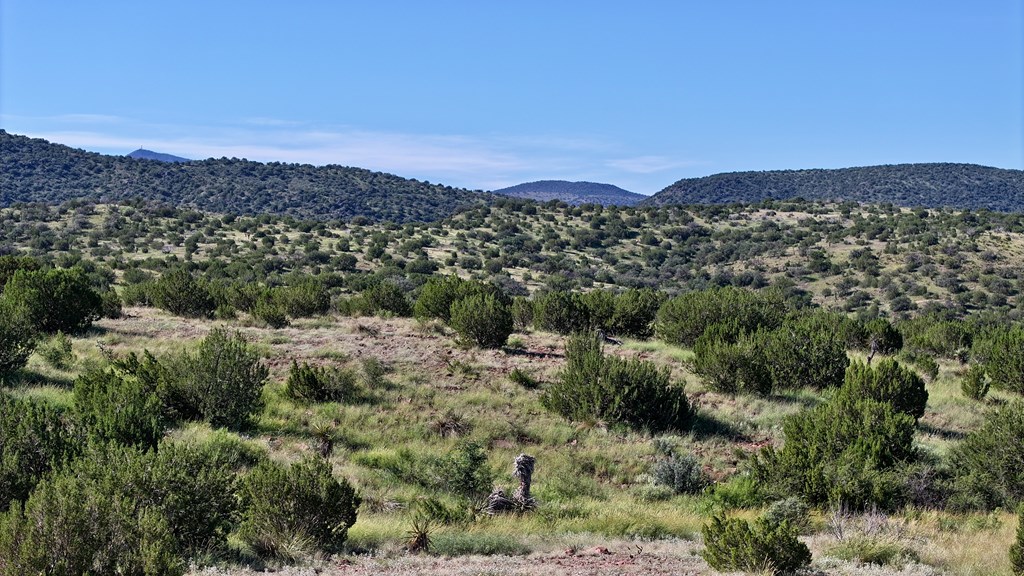 Tr 111 Sierra La Rana Property Photo 5