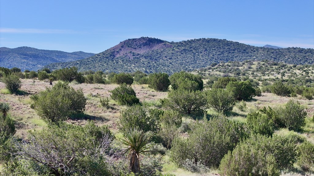 Tr 111 Sierra La Rana Property Photo 6