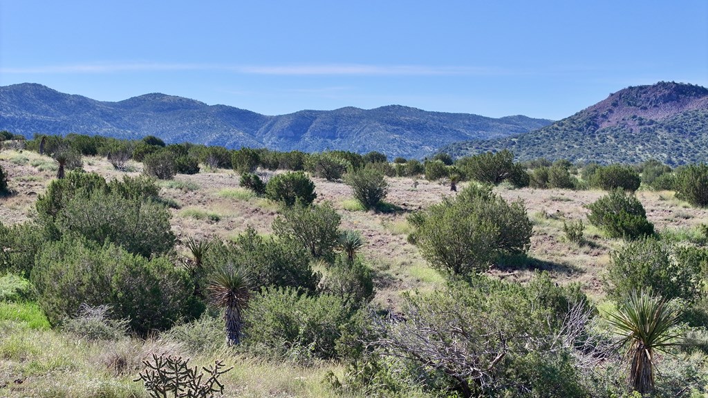 Tr 111 Sierra La Rana Property Photo 7