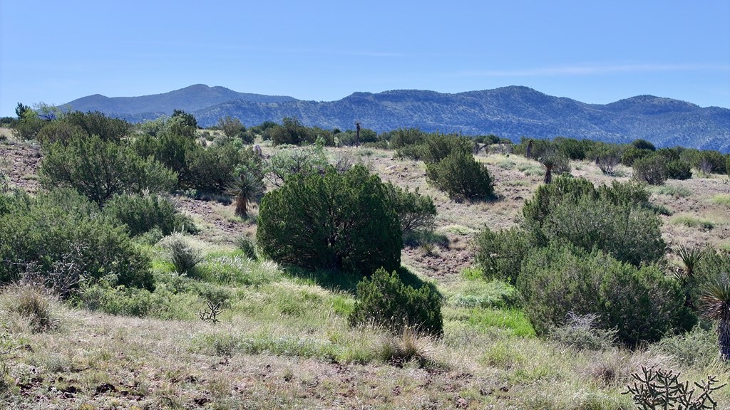 Tr 111 Sierra La Rana Property Photo 8