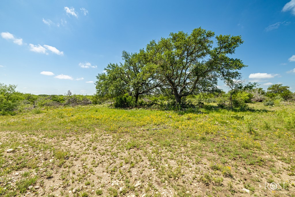 1821 Ranch Rd 864 Ab 987 Property Photo 24