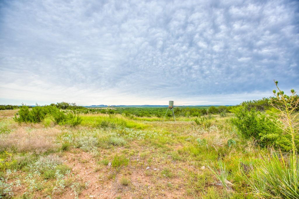 583 Cox Rd Property Photo 8