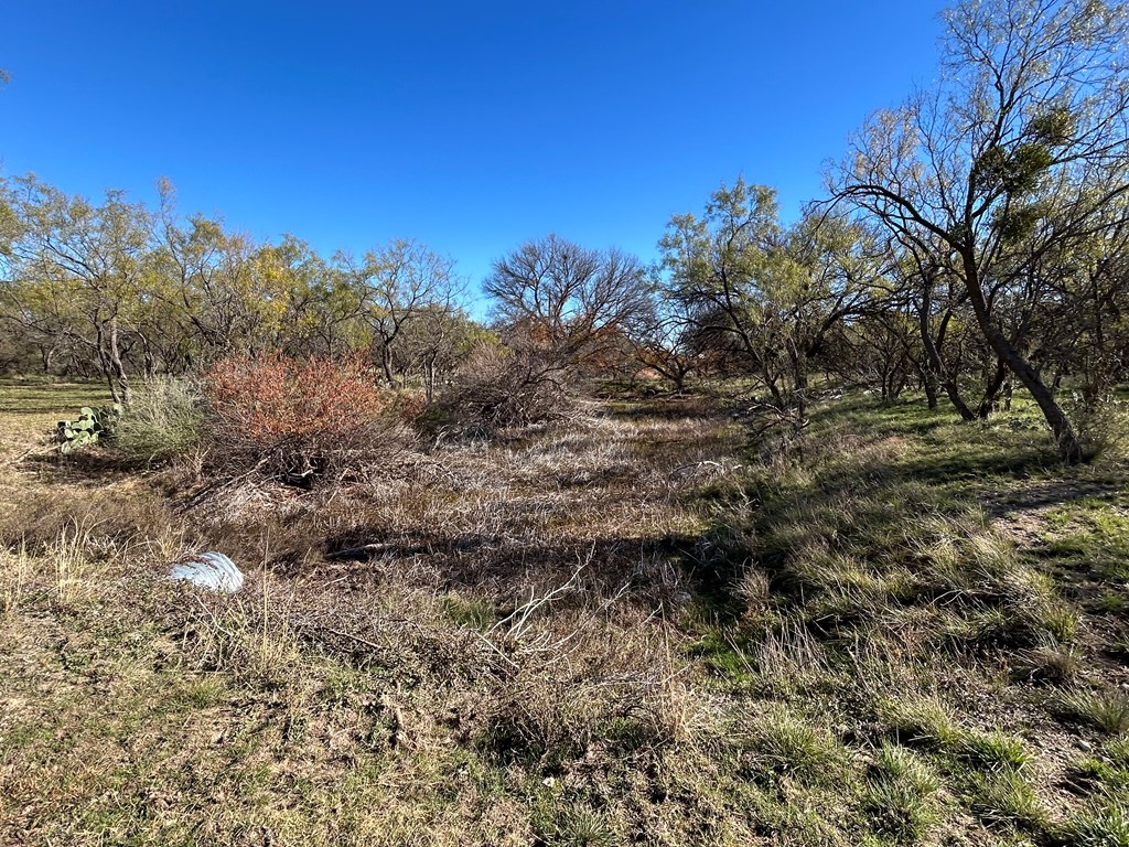 12056 Spring Creek Lane Property Photo 8
