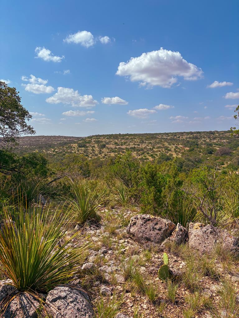 Lot 48 County Rd 410 Property Photo 1