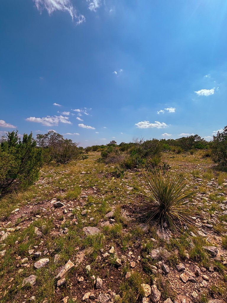 Lot 48 County Rd 410 Property Photo 2
