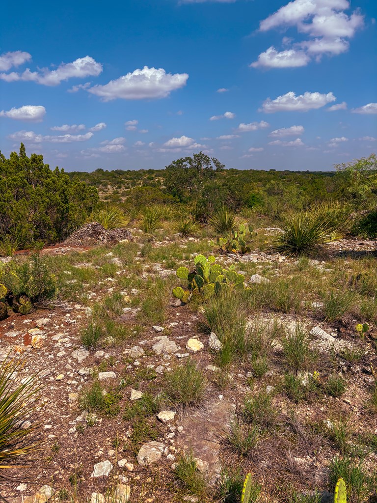 Lot 48 County Rd 410 Property Photo 3