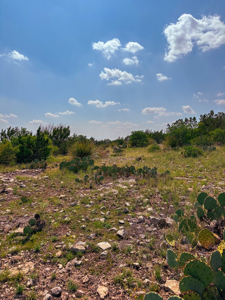 Lot 48 County Rd 410 Property Photo 4