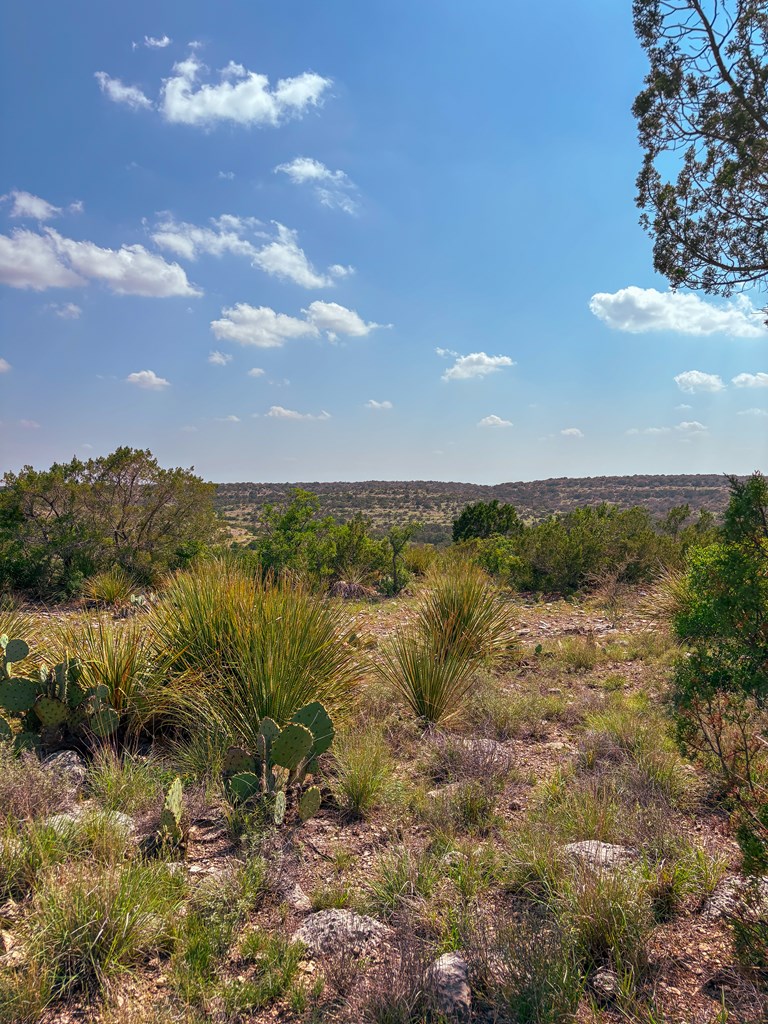 Lot 48 County Rd 410 Property Photo 5