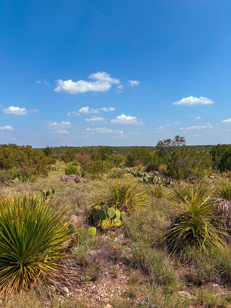 Lot 48 County Rd 410 Property Photo 6