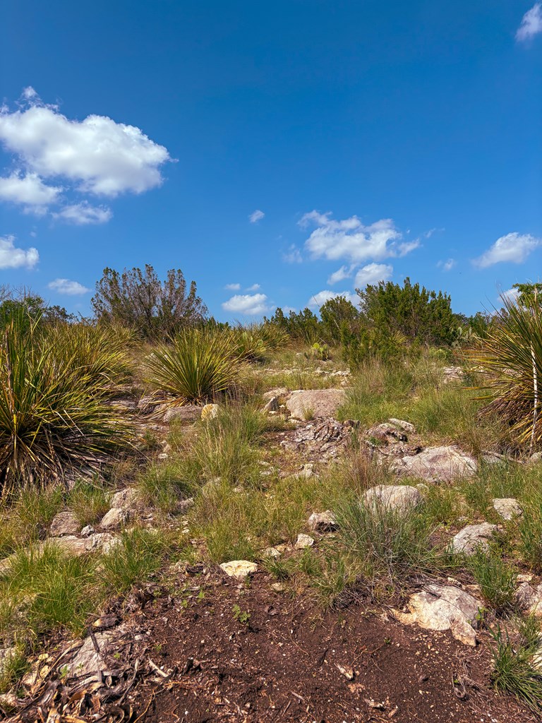 Lot 48 County Rd 410 Property Photo 8