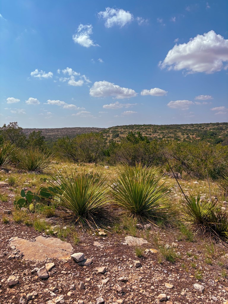 Lot 48 County Rd 410 Property Photo 11