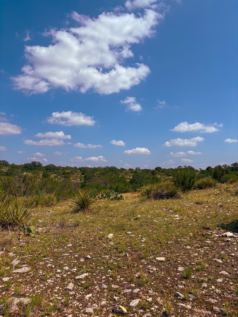 Lot 48 County Rd 410 Property Photo 12