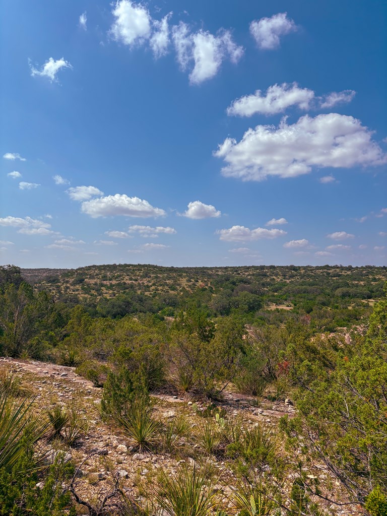 Lot 48 County Rd 410 Property Photo 13