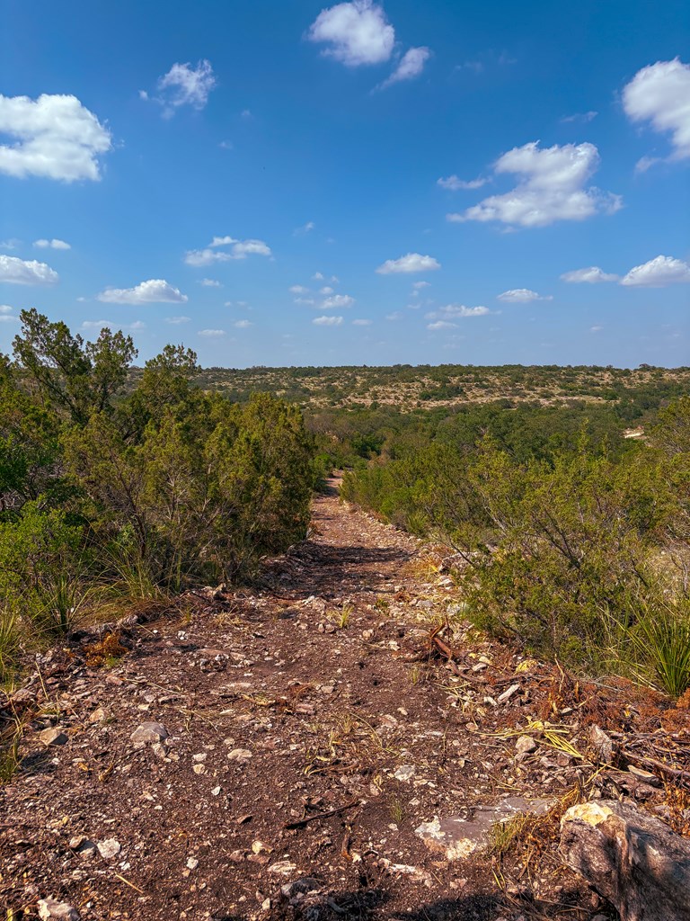 Lot 48 County Rd 410 Property Photo 15